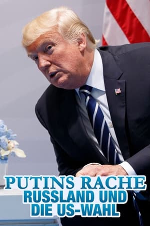 Putins Rache - Angriff auf die US-Wahl