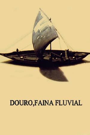 Douro, Faina Fluvial