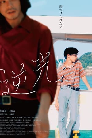 逆光