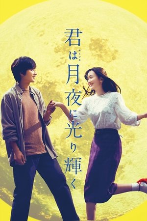 你在月夜里闪耀光辉