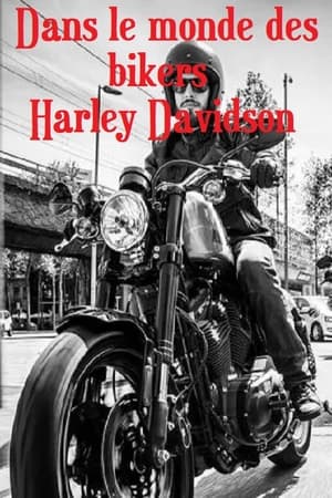 Dans le monde des bikers Harley Davidson