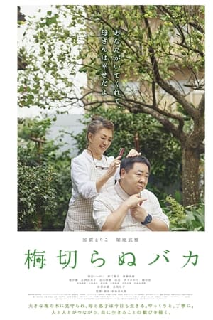 不砍梅树的傻瓜