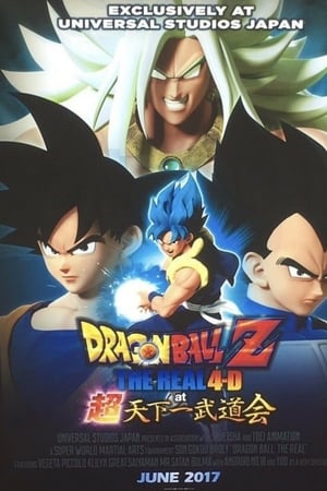 Dragon Ball Z: The Real 4-D at 超天下一武道会