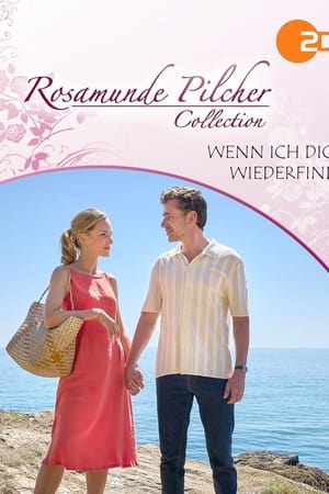 Rosamunde Pilcher - Wenn ich dich wiederfinde