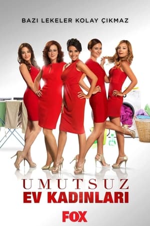 Umutsuz Ev Kadınları第3季