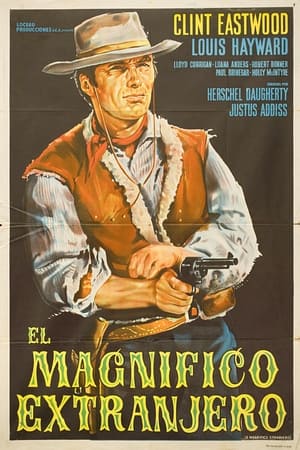 El magnifico extranjero(1966电影)