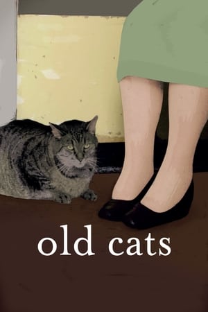 老猫