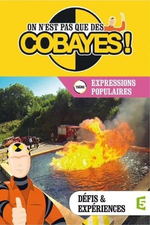 On n'est pas que des cobayes !第3季