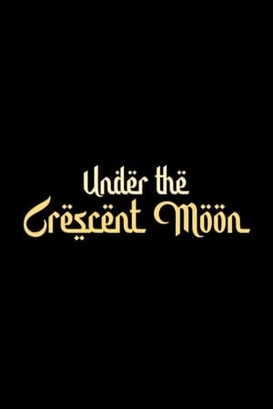 Under the Crescent Moon