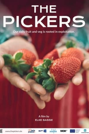 The Pickers