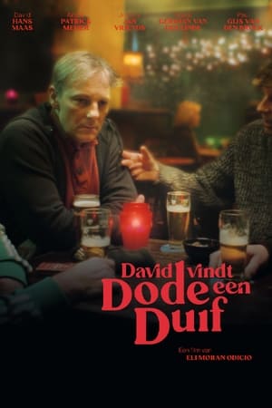 David Vindt Een Dode Duif