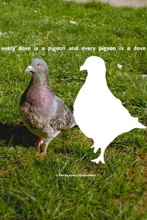 every dove is a pigeon and every pigeon is a dove