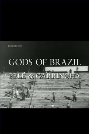 Pelé, Garrincha, dieux du Brésil