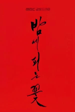 밤에 피는 꽃