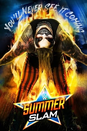 WWE：夏日狂潮 2020