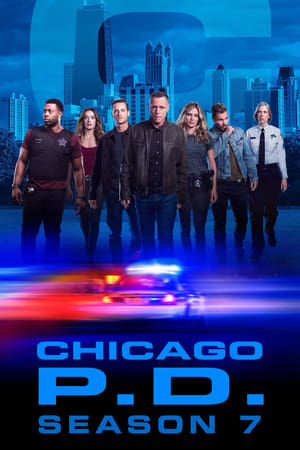 芝加哥警署第7季