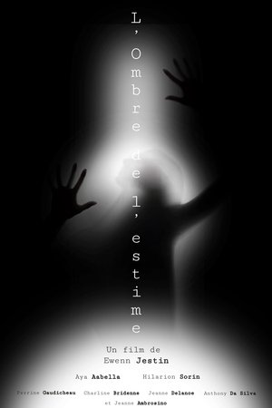L'Ombre de l'estime