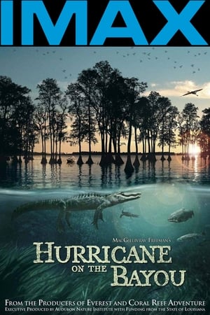 IMAX - 海湾的飓风