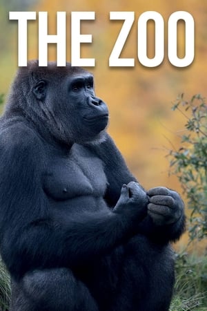 The Zoo第4季
