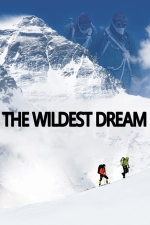 最狂野的梦想：征服珠峰