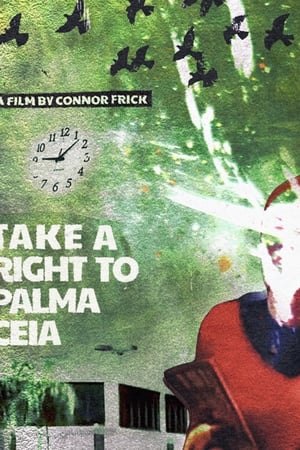 Take A Right to Palma Ceia