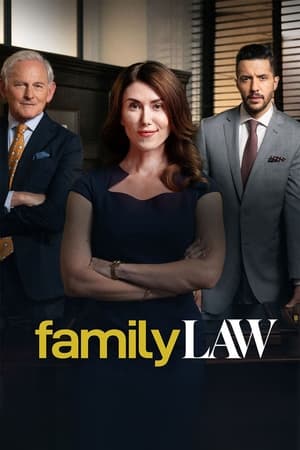 家庭法第2季