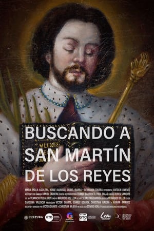Looking for San Martín de los Reyes