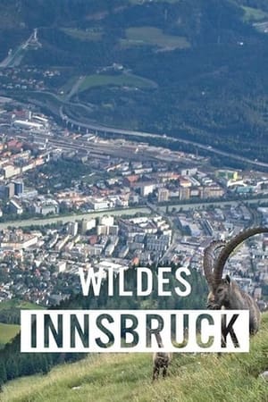Wildes Innsbruck: Zwischen Moderne und alpiner Wildnis