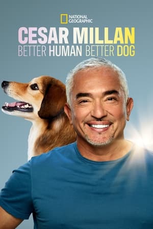 Cesar Millan: Better Human, Better Dog第2季