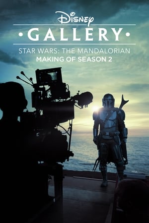 Disney Gallery / Star Wars: The Mandalorian第2季