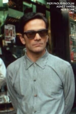 瓦尔达拍摄帕索里尼，纽约1967年