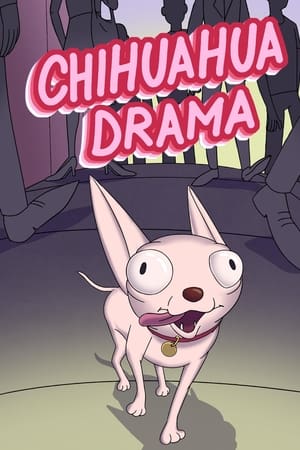 Chihuahua Drama