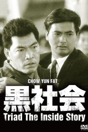 我在黑社会的日子