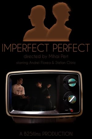 Imperfect Perfect