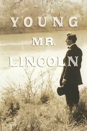 青年林肯