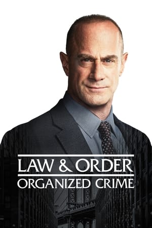 法律与秩序：组织犯罪第2季