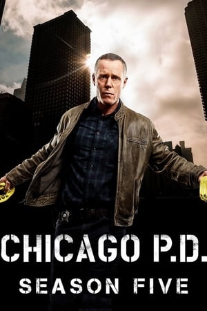 芝加哥警署第 5 季