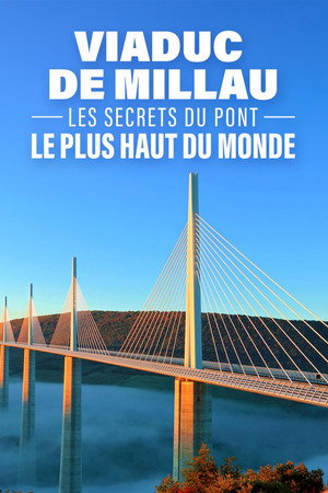 Viaduc.de.Millau.les.secrets.du.pont.le.plus.haut.du.monde.