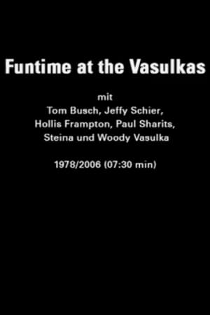 Funtime at the Vasulkas(2006电影)