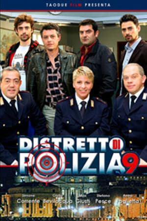 Distretto di Polizia第9季
