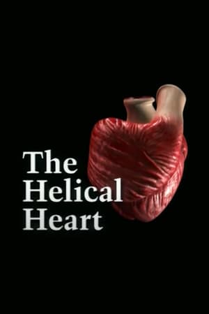 The Helical Heart