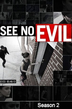 See No Evil第2季