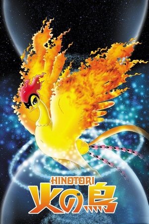 《火之鸟》2004电视剧集在线观看完整版剧情 - xb1