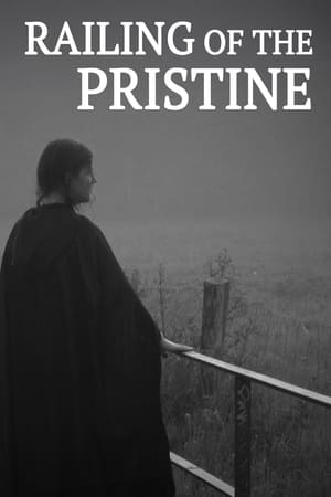 Railing of the Pristine