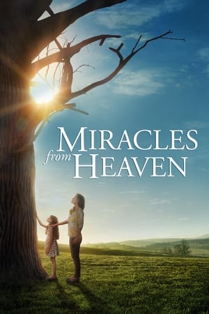 天堂奇迹,Miracles from Heaven(2016电影)