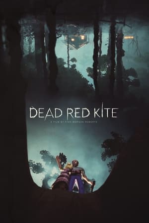 Dead Red Kite