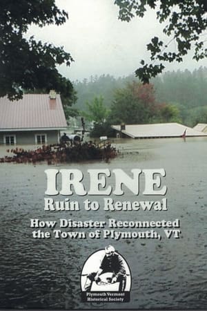 Irene: Ruin to Renewal