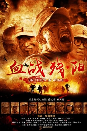 血战残阳