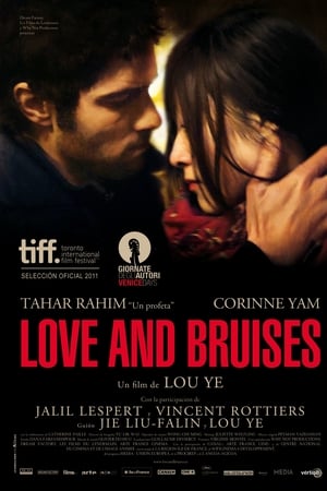 花Love and Bruises