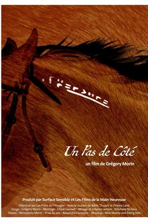 Un Pas De Côté